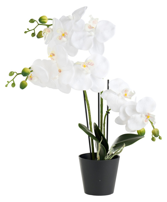 Kunstig orkidé hvid 46 cm